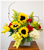 Sunflower and red rose bouquet with yellow lilies, white hydrangea, wax flower, and bee ribbon in a glass cube vase.