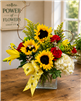 Sunflower and red rose bouquet with yellow lilies, white hydrangea, wax flower, and bee ribbon in a glass cube vase.
