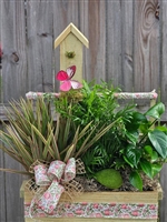 Spring Birdhouse Garden Planter with Palm, Dracaena and Pothos Ivy