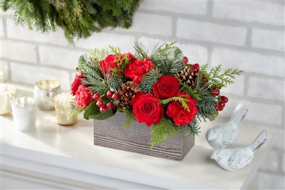 Christmas Cedar Sensation