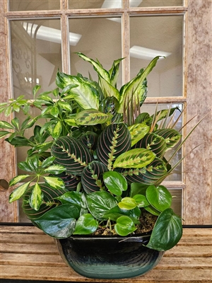 Ceramic Dish Garden-Large