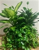 Triple Plant Basket