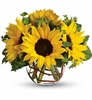 Sunny Sunflowers