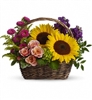 Sunflower basket arrangement with peach spray roses, green hydrangea, purple stock, and Matsumoto asters.