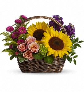 Sunflower basket arrangement with peach spray roses, green hydrangea, purple stock, and Matsumoto asters.