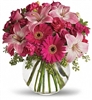 Pink floral arrangement with roses, Asiatic lilies, hot pink gerbera daisies, and carnations in a clear glass vase