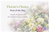 Custom florist choice bouquet with seasonal flowers and greenery in a vase arrangement