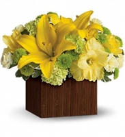 Yellow lilies, roses, green mums, and carnations arranged in a modern cedar box.