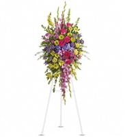 Bright Beautiful Spray