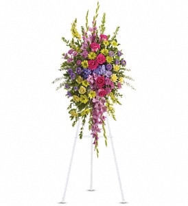 Bright Beautiful Spray