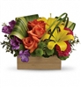Bright floral arrangement with orange roses, yellow lilies, purple alstroemeria, and carnations in a cedar box.