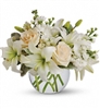Isle of White arrangement with cream roses, white Asiatic lilies, and stock in a clear glass vase