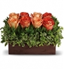 Orange and peach roses arranged with greenery in a cedar rectangle box.