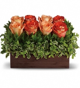 Orange and peach roses arranged with greenery in a cedar rectangle box.