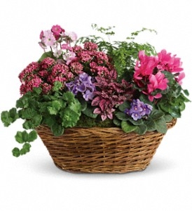 Simply Chic Plant Basket