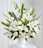 Morning Stars