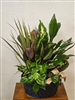 Tropical tin dish garden with assorted green foliage plants in a textured tin planter