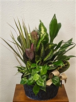 Tropical tin dish garden with assorted green foliage plants in a textured tin planter
